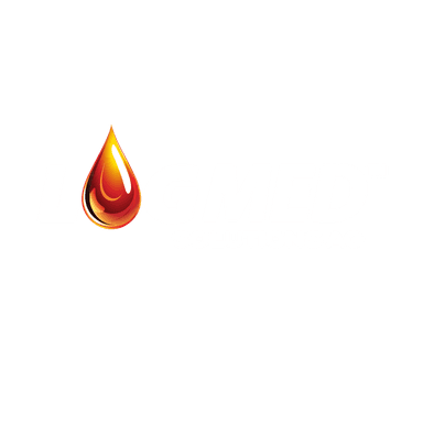 LOGMED Solutions logo